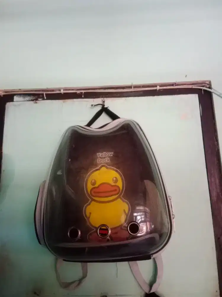 Tas Hewan anjing/kucing