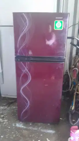 Kulkas sharp 2 pintu