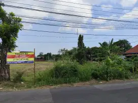 Jual Tanah Hook Karangdowo