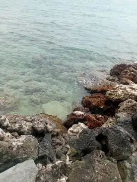 Mencari asisten rumah tangga