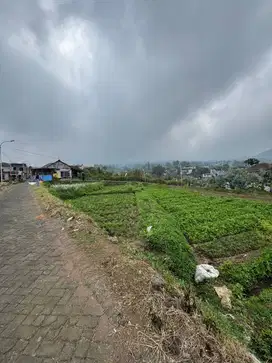 dijual tanah lokasi metro kota batu