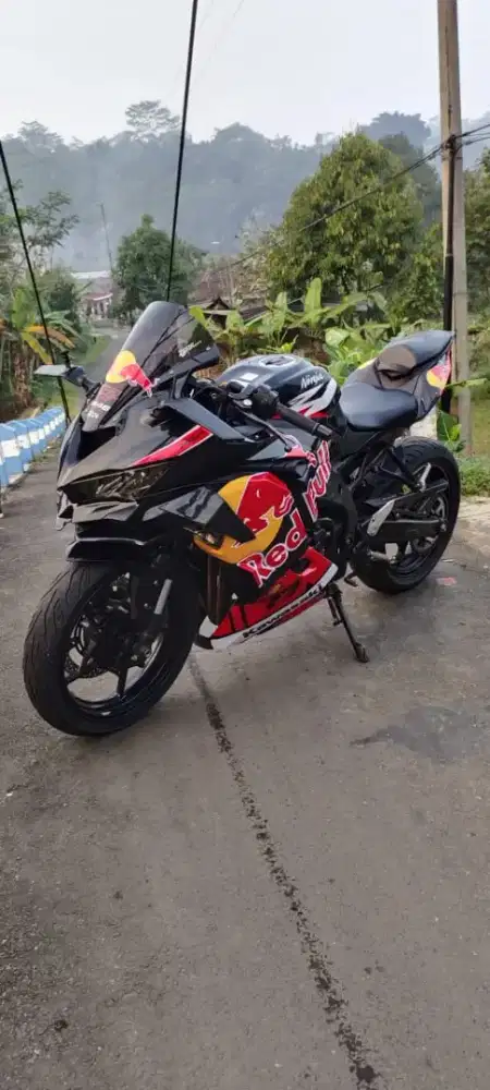 Kawasaki ZX 250r