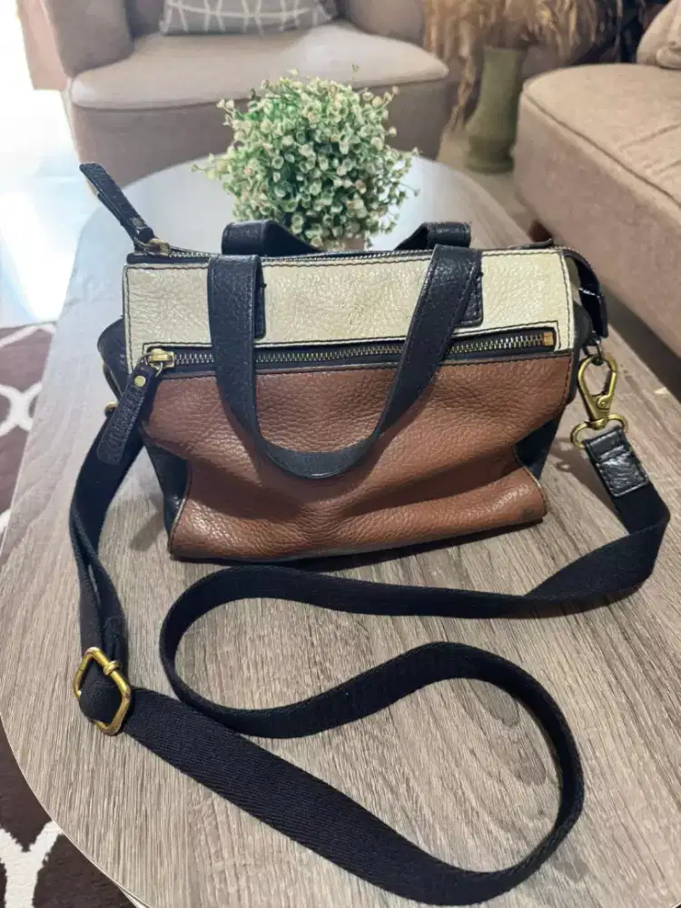 Tass Fossil Original