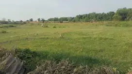 dijual tanah Mojokerto di Dawarblandong di desa canandang
