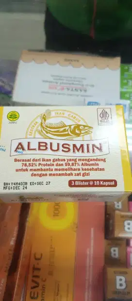 Admin koperasi/bank perorangan