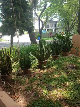 Dijual Rumah Full Furnish, Lokasi Sentul City