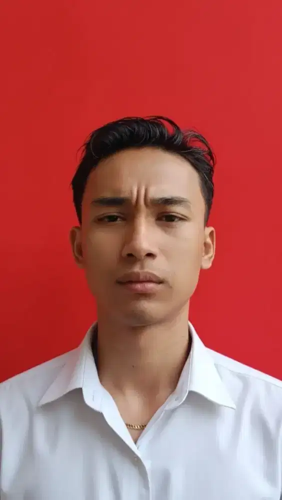 Driver pribadi, frelance