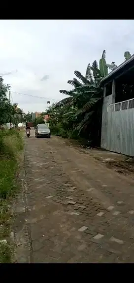 Gudang Driyirejo SHM