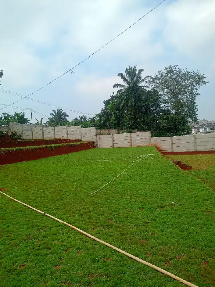 Menjual bermacam macam rumput