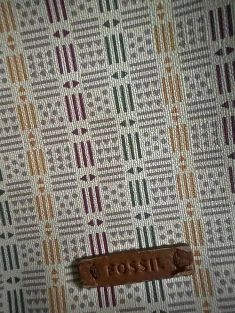 Tas fossil coklat