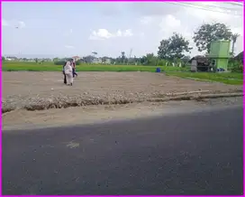 Tanah Strategis Sleman, Cocok Untuk Rumah di Purwomartani Mangku Jalan Aspal