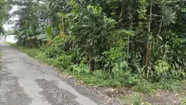 Tanah Luas 1102 Meter Persegi Lokasi Dekat Kampus UII Terpadu