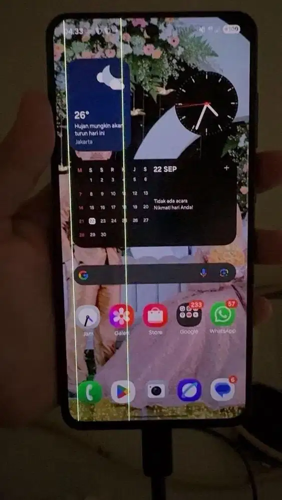 Samsung s21 FE greenline 2