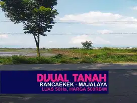 JUAL TANAH MURAH, RANCAEKEK, MAJALAYA, JATINANGOR, CILEUNYI, DANGDEUR,
