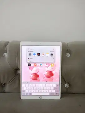 IPAD PRO 2017 STORAGE 64 GB SECOND