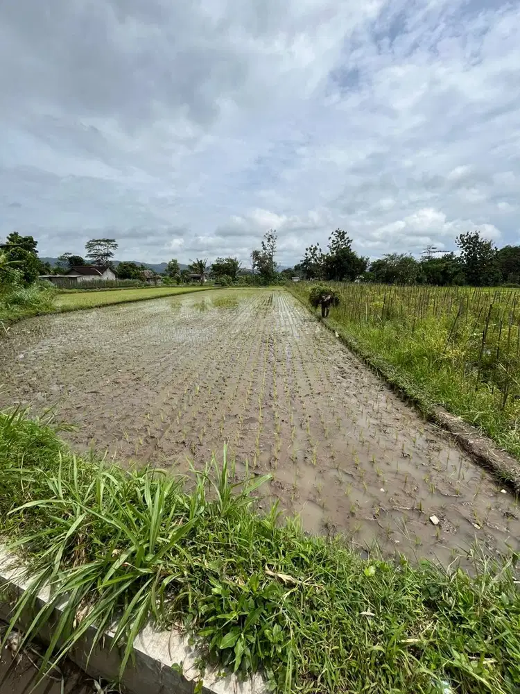 Dijual Tanah Daerah Berbah Prambanan Sleman