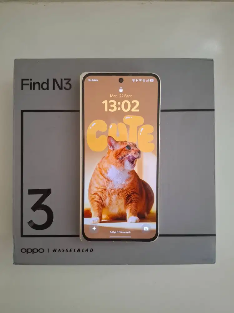 Oppo Find N3 fold