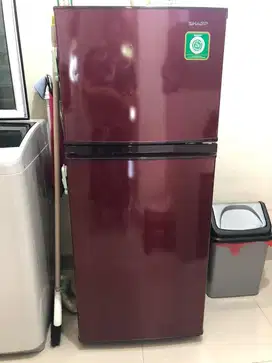 Kulkas Samsung 2 Pintu Tipe SJ-195MD-SR