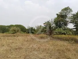 Dijual Tanah Cisauk Tangerang Hadap Timur