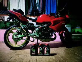 Ninja RR new 2014