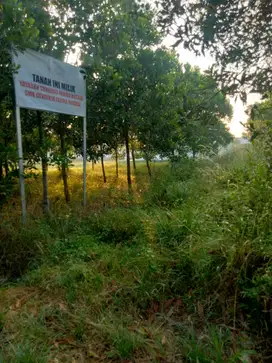 DI JUAL TANAH 300 M2 DEKAT KAMPUS ITERA DAN EXIT TOL KOTABARU