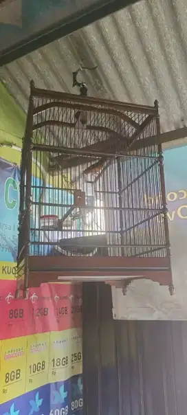 Murai Rawatan Rajin Bunyi ( Burja )