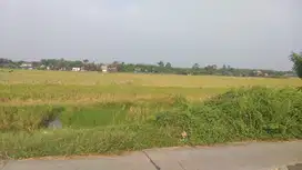 Dijual Tanah siap Bangun untuk Industri di Cikarang Pusat
