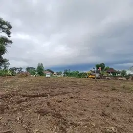 Tanah Terbaik di Kalasan, Akses Mudah, Harga Rendah