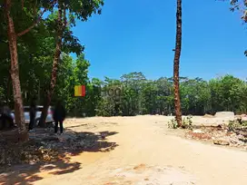 Kavling di DS Kedawung Banyuputih Batang Jawa Tengah