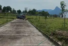 TANAH KAVLING MURAH VIRAL PRIMADONA WARGA JABODETABEK VIEW INDAH