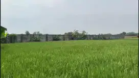 Jual Tanah di Pengampelan, Kota Serang, Banten