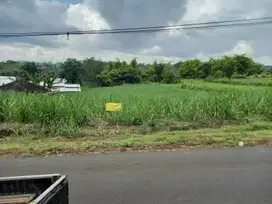 Dijual Tanah Murah Wagir Jedong Krobokan Malang