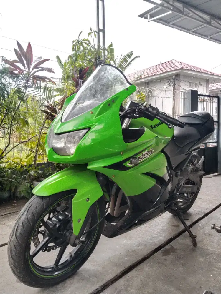 Kawasaki Ninja 250R Karbu Special Editon