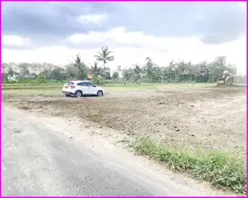 Pandanaran Sleman, Tanah Jogja Murah Cocok Untuk Rumah
