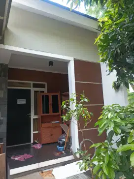 Disewakan rumah nyaman dan asri