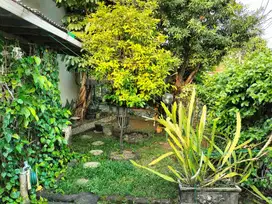 DIJUAL CEPAT RUMAH KOMPLEK HOOK SHM LUAS 400M KALIDERES DAAN MOGOT JAKARTA BARAT