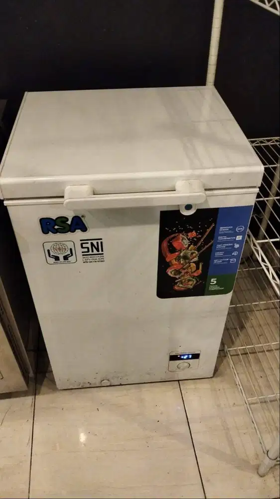 Freezer RSA 100L