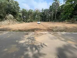 Akses Mudah Tanah Murah Jogja 100 Jt-an