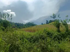 Dijual Tanah 20 Hektar Seharga 300 jt di Lolak - Sulawesi Utara