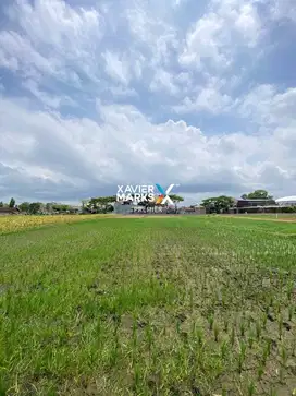 Dijual Tanah Lahan Pertanian Sawah di Cepokomulyo, Kepanjen Kab Malang