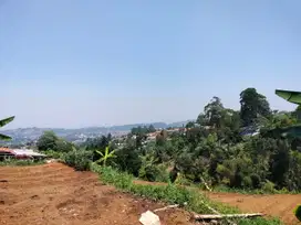 TANAH HAWA SEJUK BARUNANGRI LEMBANG