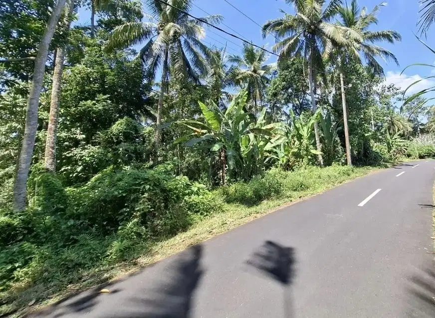 Tanah kebun luasan kecil akses jalan hotmix