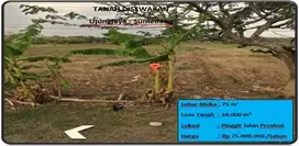 Tanah Disewakan