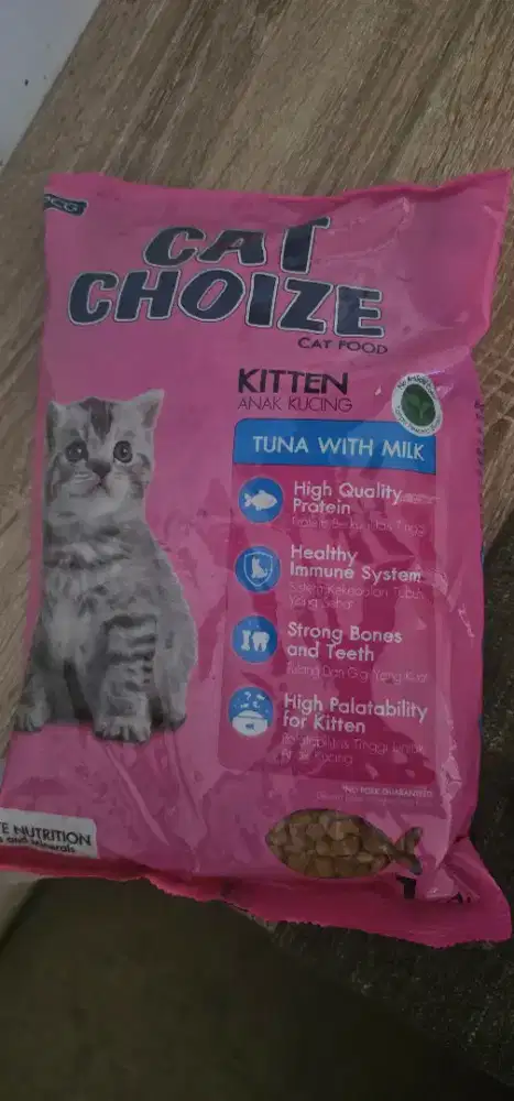 Petshop tutup, cat foods dijual dibawah harga pasar