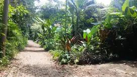JUAL CEPAT TANAH 27 are DI BEDULU - GIANYAR - BALI