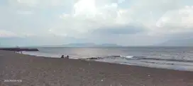 DIJUAL TANAH LOS PANTAI – SERANIT, LATENG, BANYUWANGI