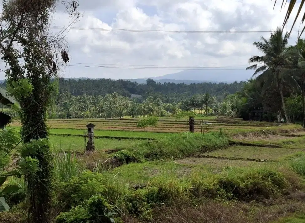 Dijual tanah kebun view sawah dan gunung