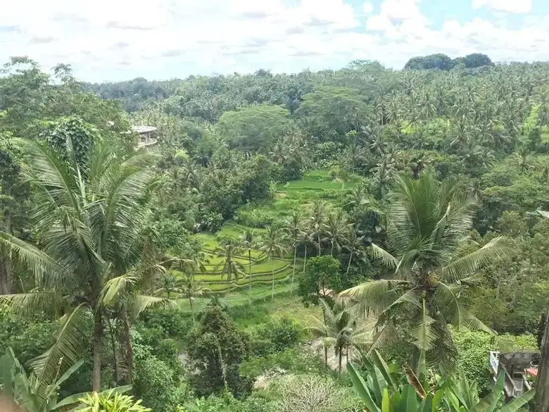 TANAH SUPER LANGKA Central ubud Los sungai ayung full view sawah