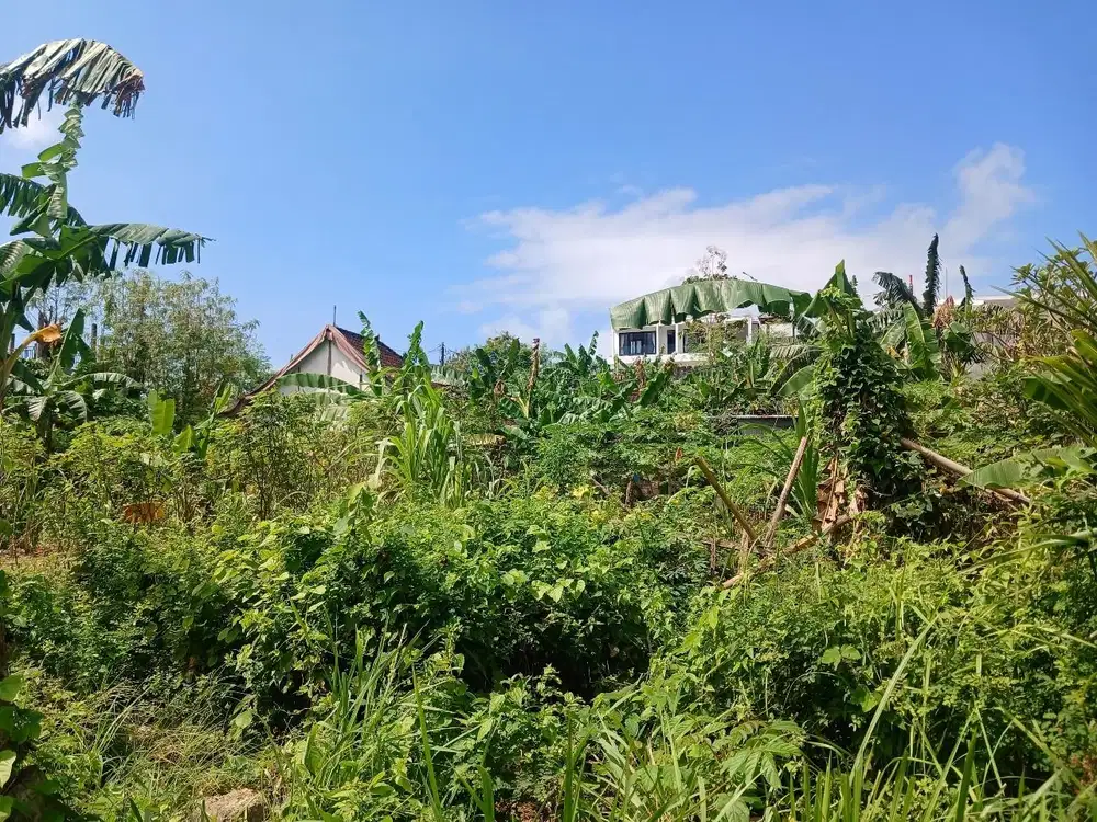 Tanah Dijual – Lokasi Strategis di Ungasan