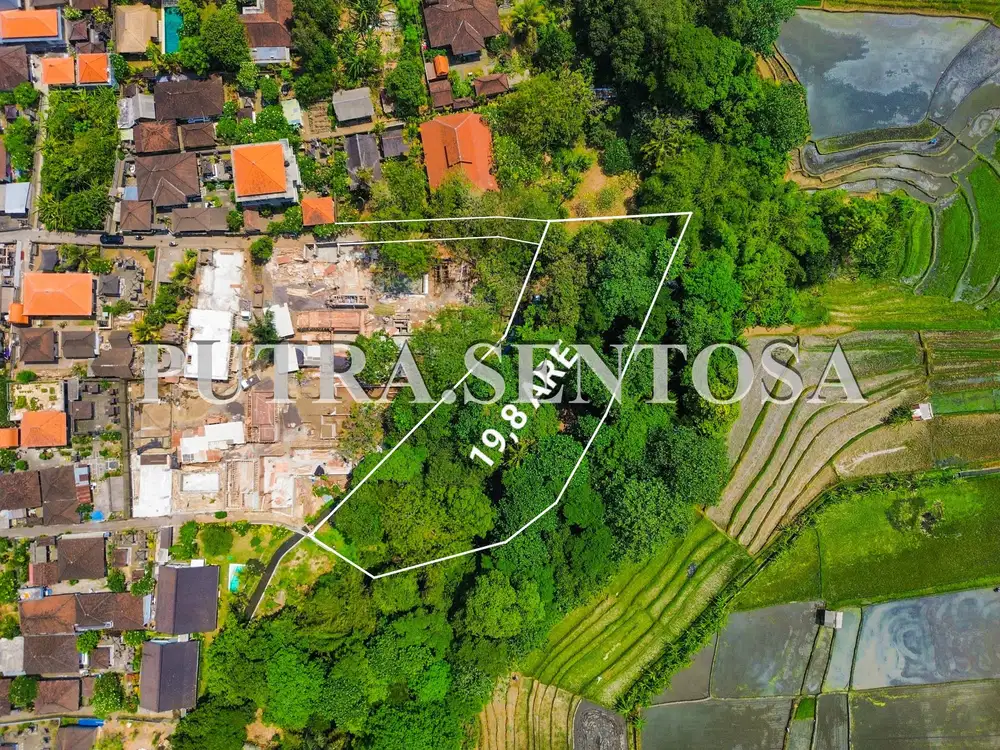 TANAH TUMBAK BAYUH PERERENAN FULL VIEW SAWAH